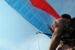 kif_7029
