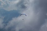 kif_7132